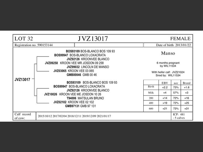 JVZ13017