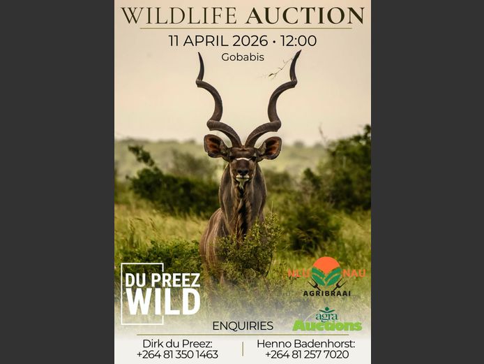 WILDLIFE AUCTION