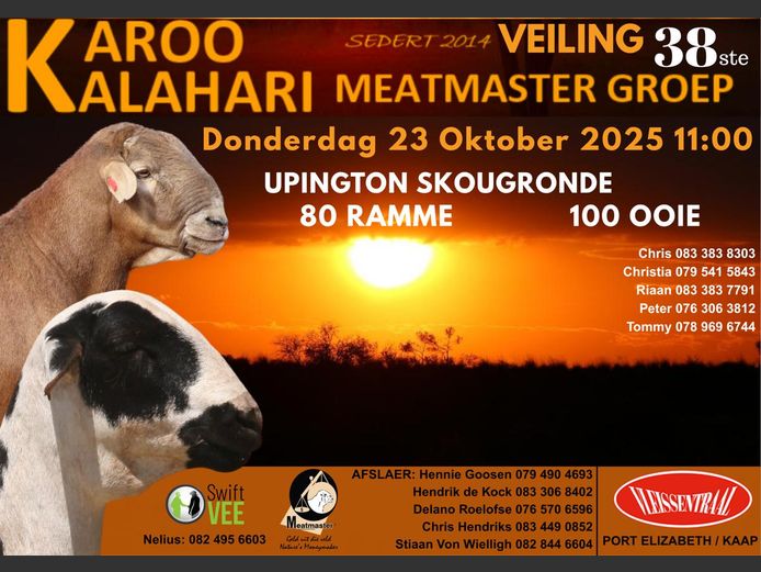 KALAHARI KAROO MEATMASTER GROEP 38STE VEILING
