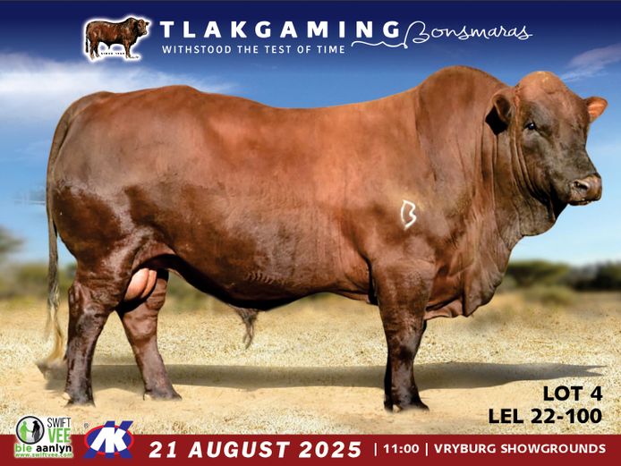 LEL220100 | LEE & SON