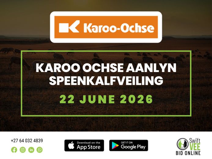 KAROO OCHSE AANLYN SPEENKALFVEILING