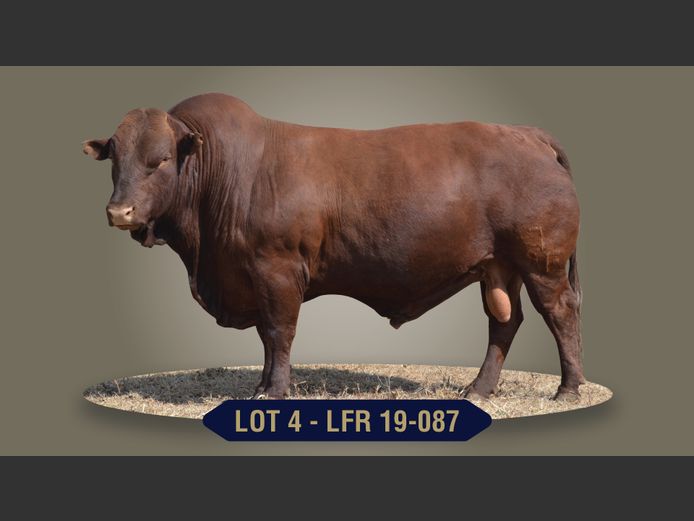 LFR 190087 | G.J. STRYDOM