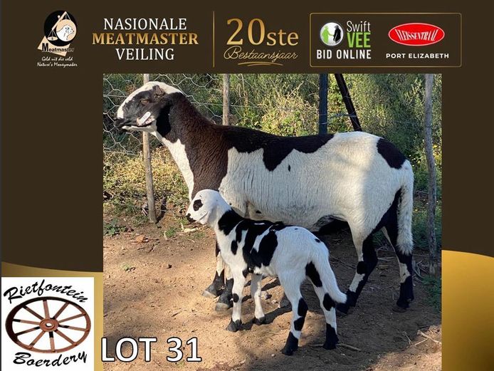 RFB 23 230 | Rietfontein Boerdery