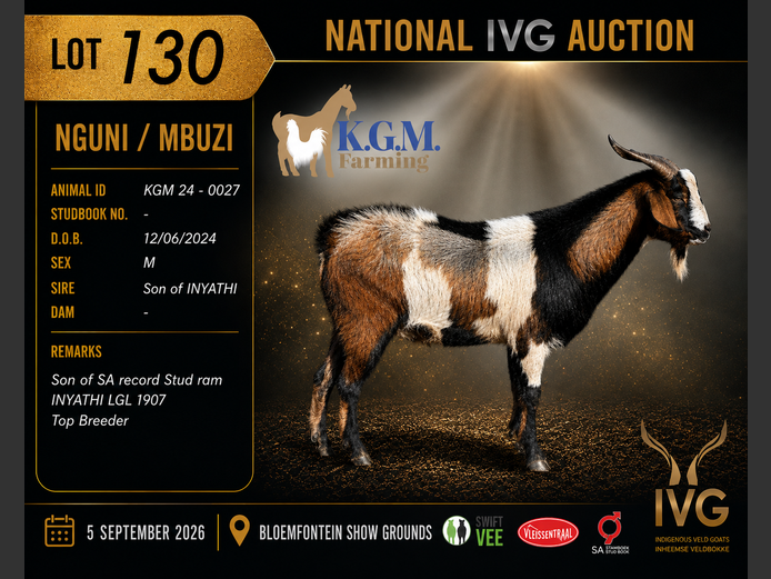 KGM 24-27 | KGM LIVESTOCK