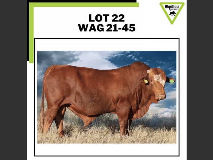 WAG 210045 | WAGNOU BOERDERY
