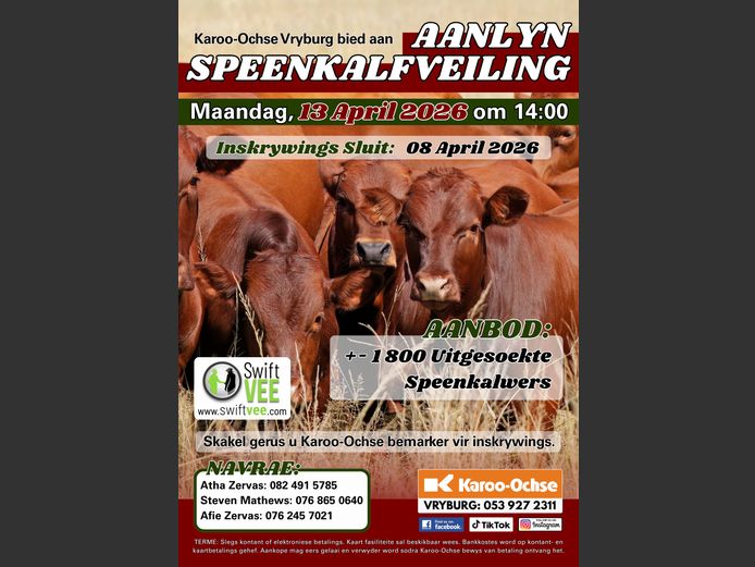 KAROO OCHSE AANLYN SPEENKALFVEILING