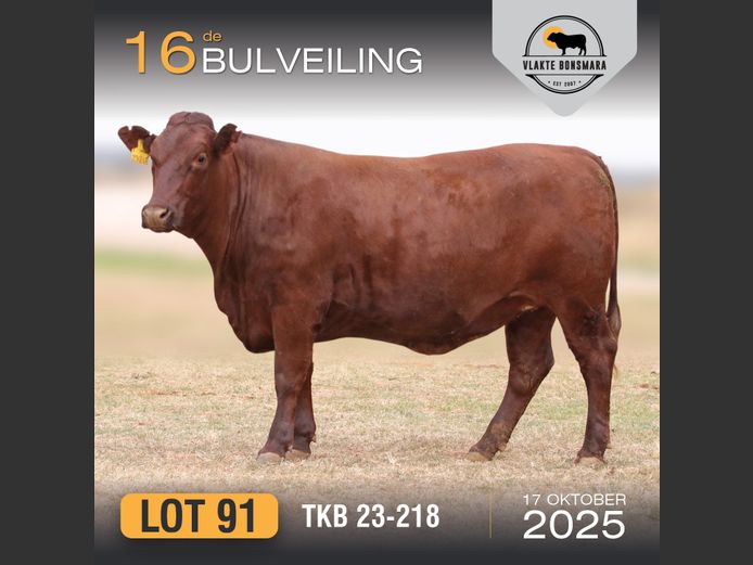 TKB 230218 | TIAN KRUGER BOERDERY PTY LTD