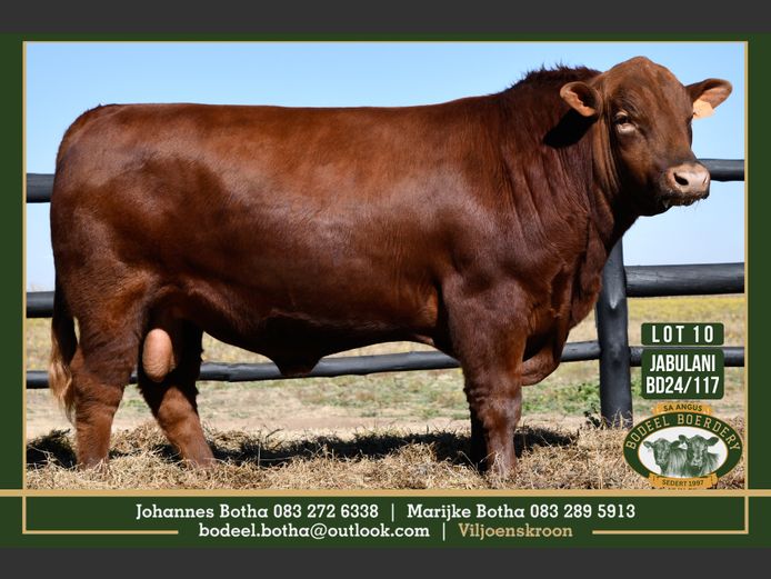 BD240117 | BODEEL BOERDERY