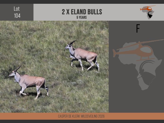 Eland