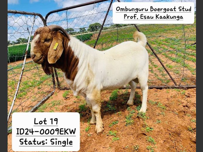 24-0009EKW | PROF. ESAU KAAKUNGA