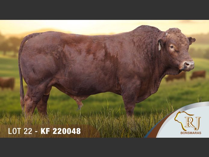 KF220048 | RJ BONSMARAS