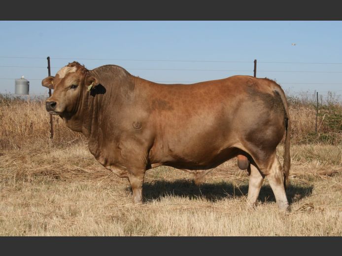 GK2222 | VLEISBERG BOERDERY