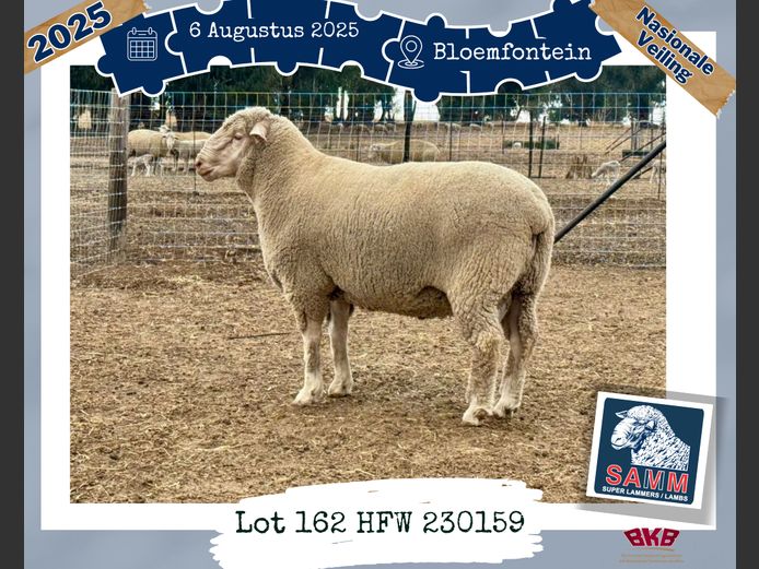 23-0159HFW | WESSELS H F