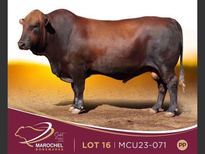 MCU 230071