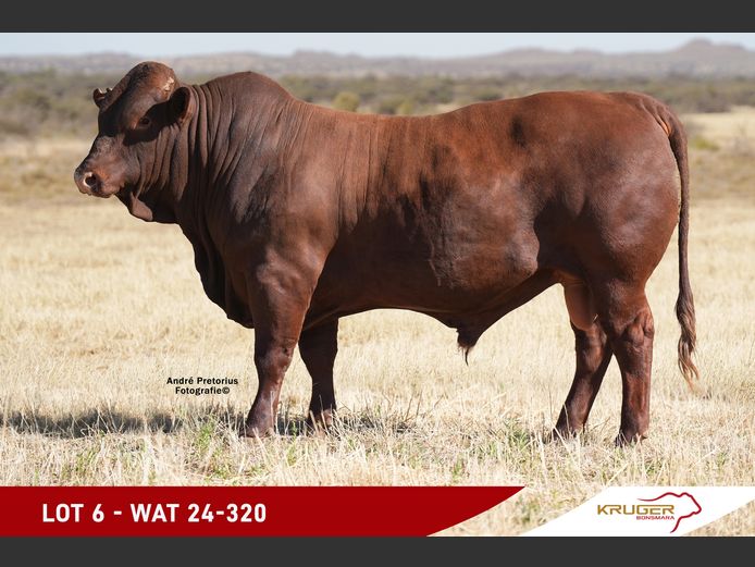 WAT240320 | KRUGER BOERDERY