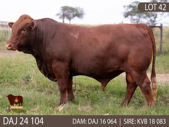 DAJ 240104 | J.D. STIRK
