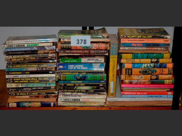 ASSORTED HARD COVER & PAPERBACK NOVELS