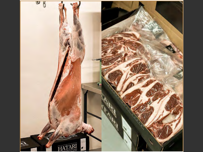 26KG HATARI LAM A2