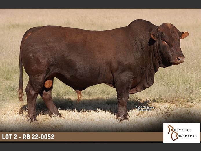 RB 220052 | ROOYBERG BOERDERY
