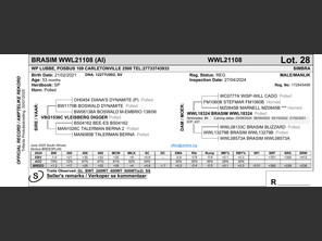 genetic_data
