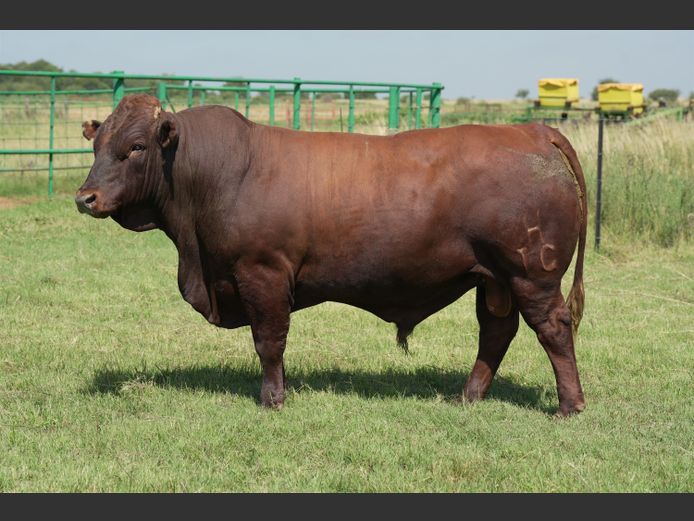 HTC230198 | HENTACOR BONSMARAS