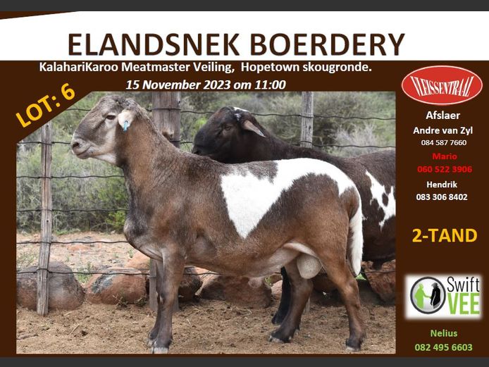 RSL B230 | ELANDSNEK BOERDERY