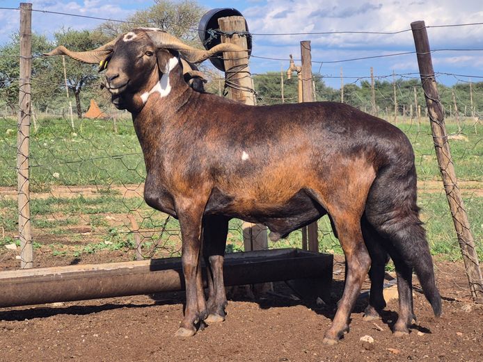 24-049 | DPJ JANSEN VAN VUUREN