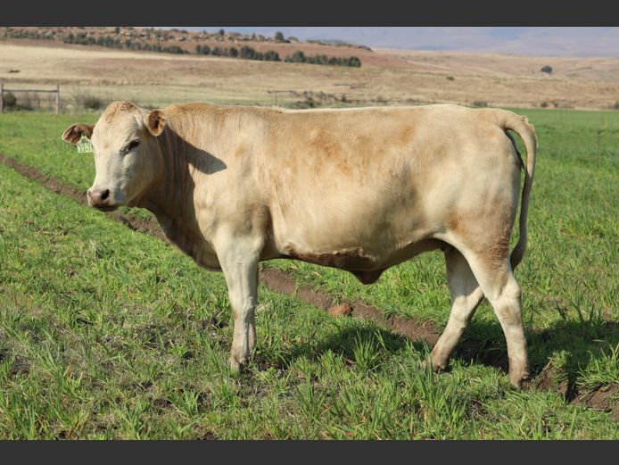 HBH 220076 | CLARK CATTLE COMPANY PTY LTD