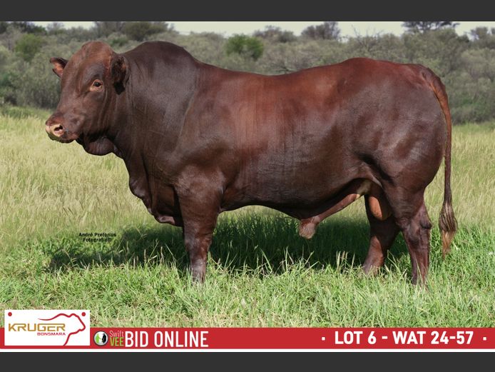 WAT 240057 | KRUGER BOERDERY