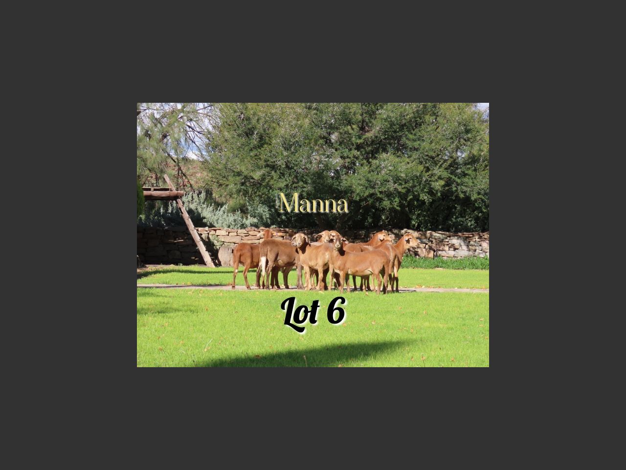 images