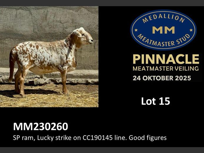 MM  230260 | MEDALLION MEATMASTER STOET