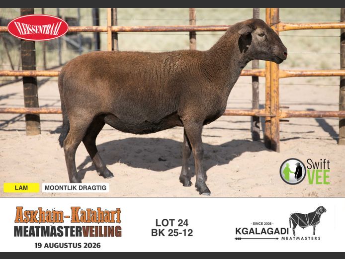 BK 25-12 | BARRI KNOETZE