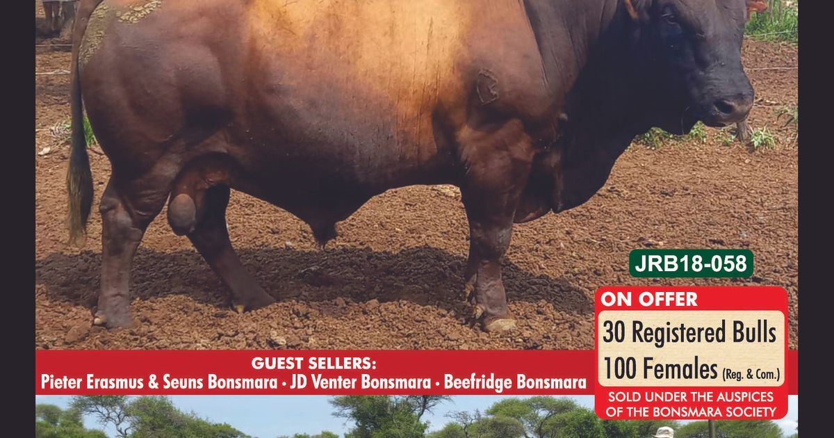 BRISTOW BONSMARA 52ND ANNUAL PRODUCTION SALE SwiftVEE Livestock