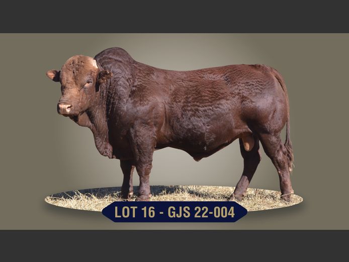 GJS220004 | G.J. STRYDOM