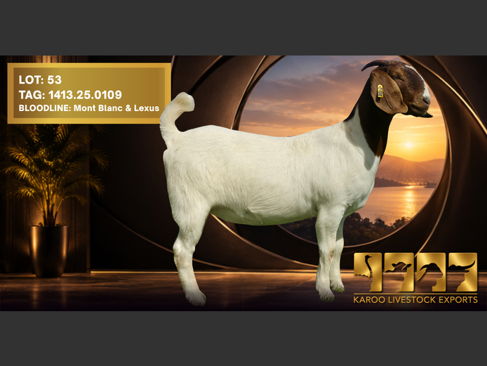1413 25-0109 | Karoo Livestock