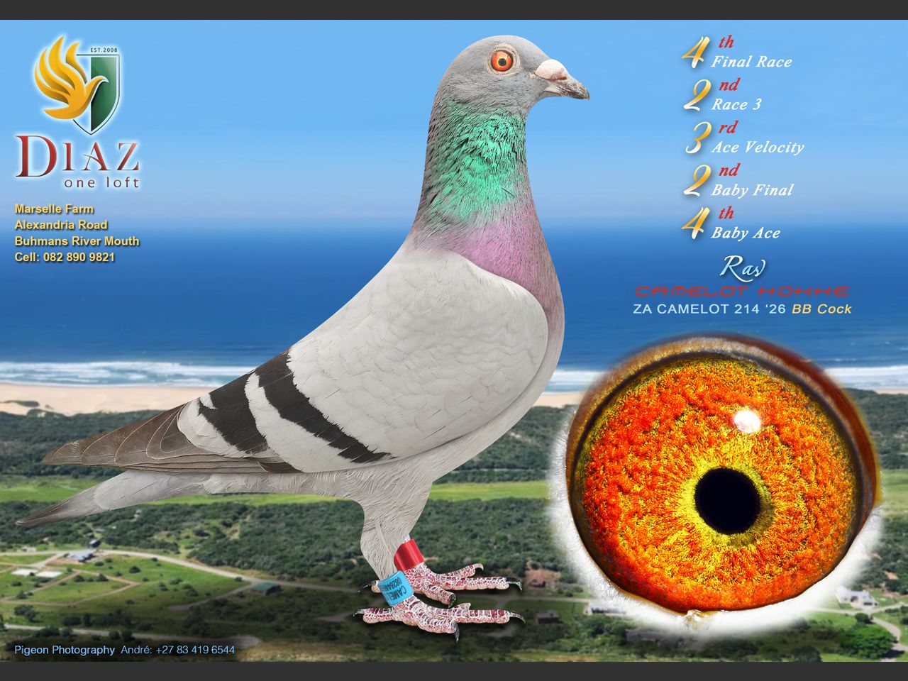 images