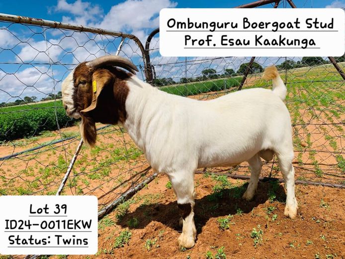 24-0011EKW | PROF. ESAU KAAKUNGA