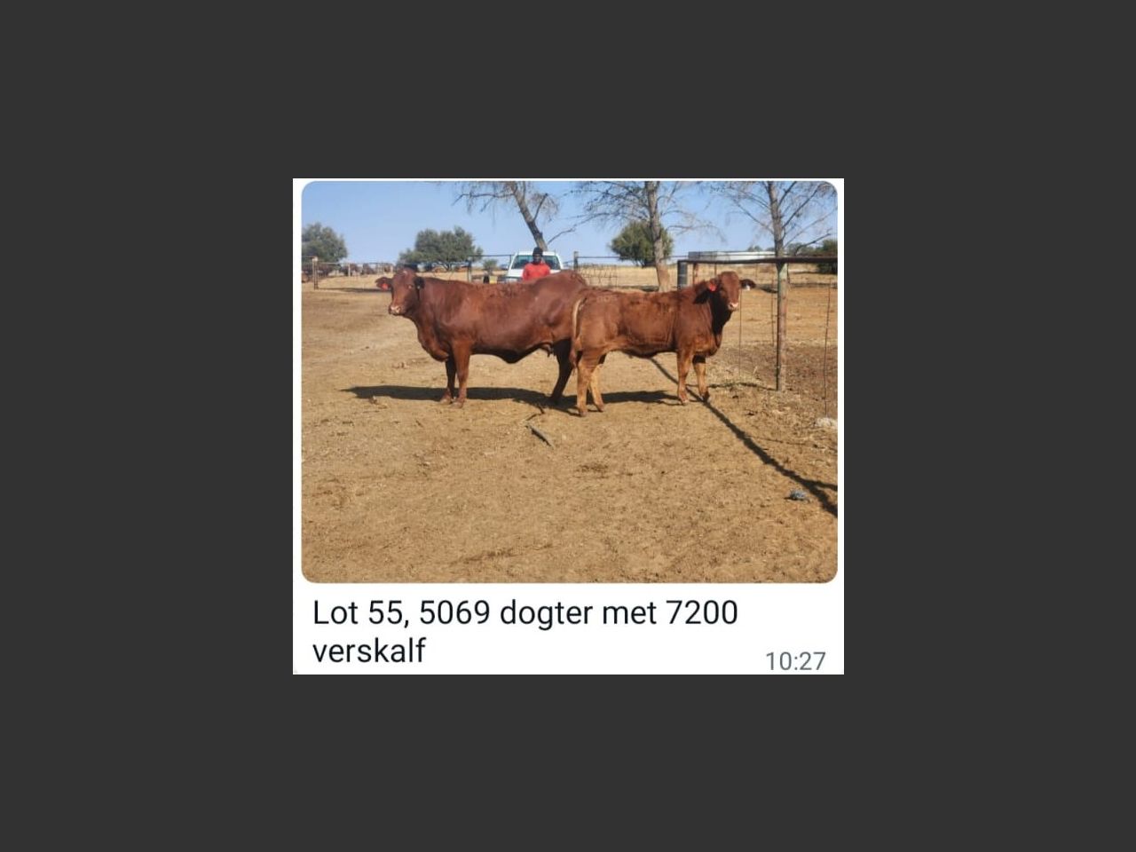 images
