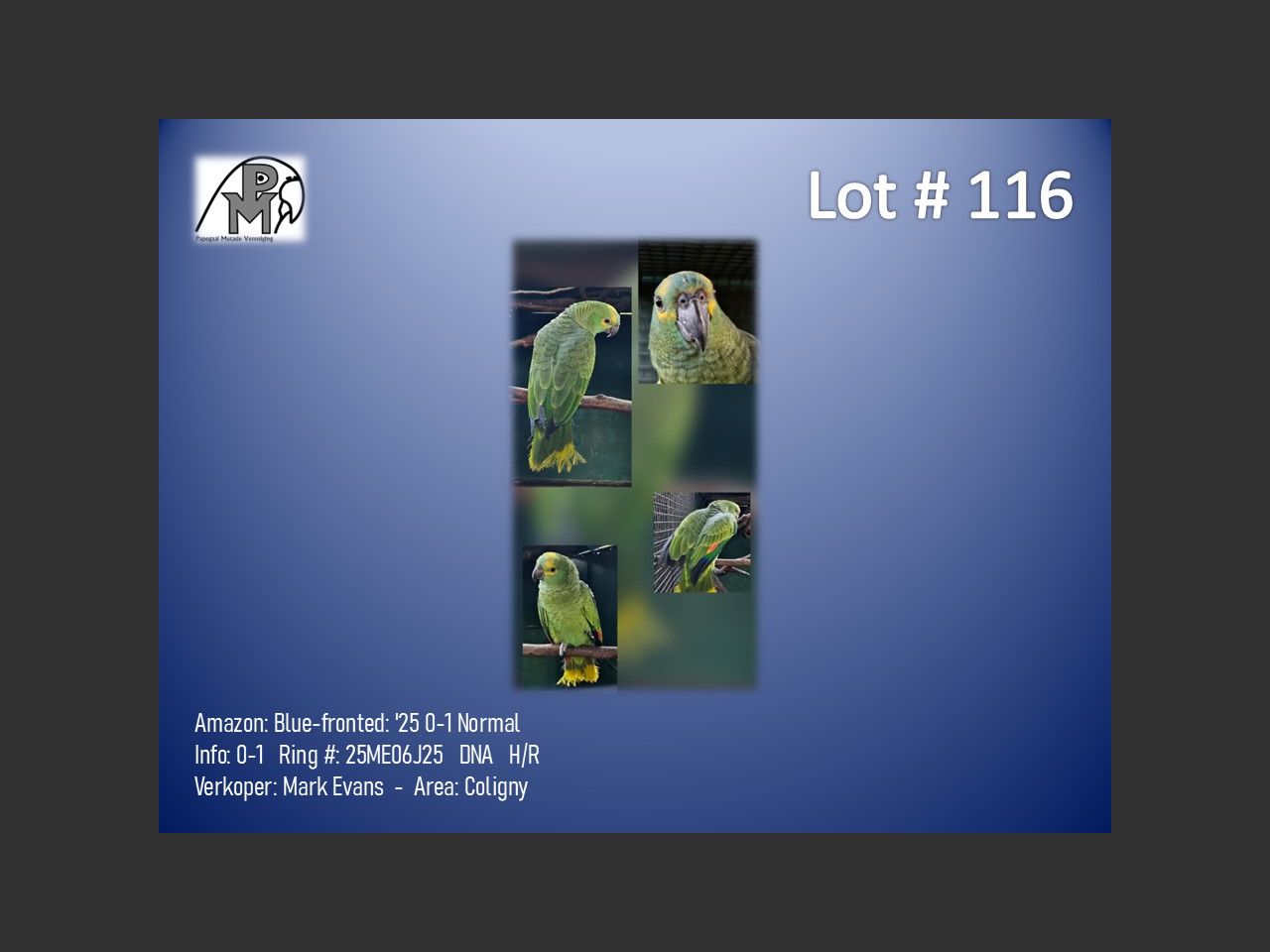 images