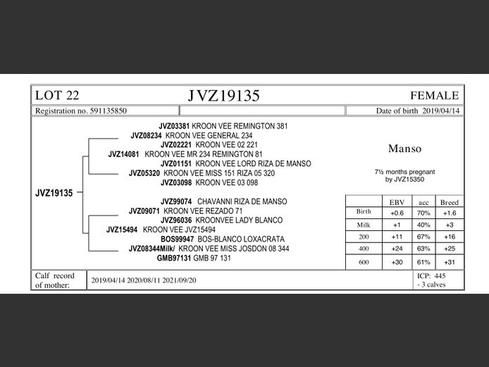 JVZ19-135