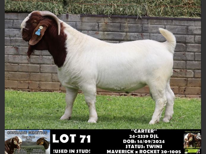 24-2339 DJL | DIRK LOUW