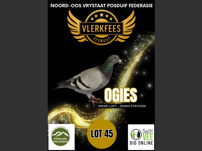 OGIES | INKWE LOFT - JOHAN STRYDOM