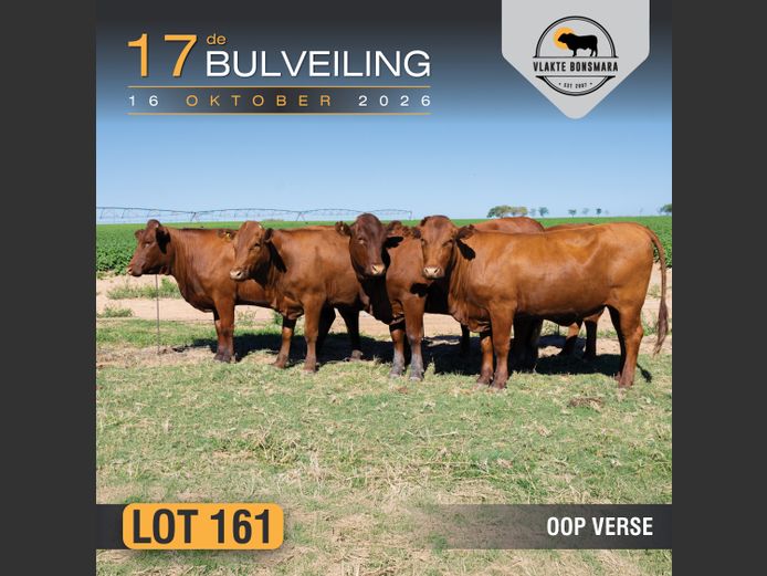 Commercial Animals | Kameeldoring Landgoed