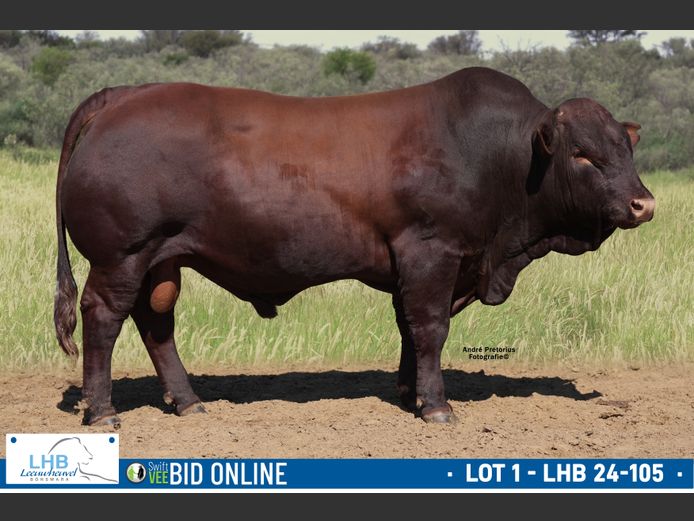 LHB 240105 | LEEUHEUWEL BOERDERY (EDMS) BPK