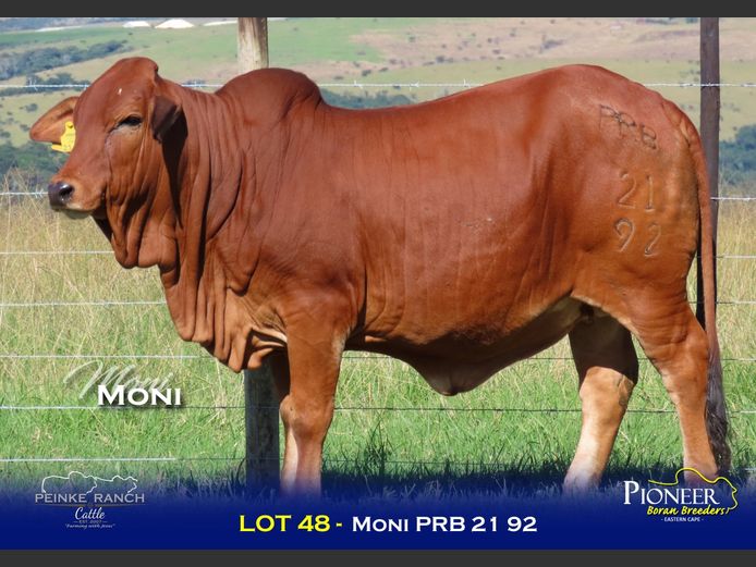 PRB 210092 | PEINKE RANCH
