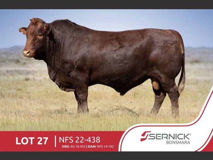 NFS 220438 | SERNICK BONSMARA STOET