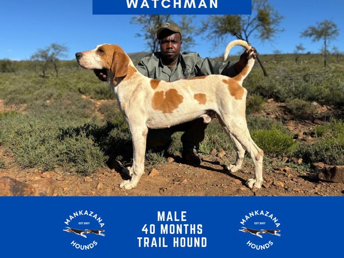 Watchman