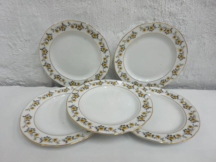 Set of 5 Vintage Floral Porcelain Plates with Gold Rim