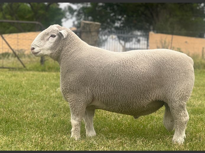 JB 24 0035 | J.A BARNARD