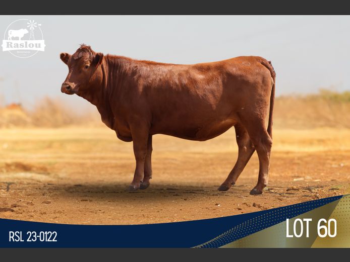 RSL 230122 | RASLOU BONSMARAS